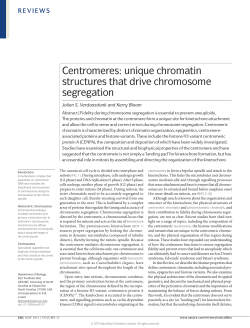 unique chromatin structures that drive chromosome segregation