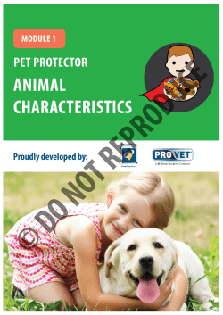 Pet Protector Dog - Module 1: Animal Characteristics