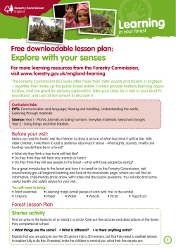 Free Downloadable Lesson Plan
