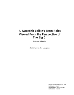 R. Meredith Belbin`s Team Roles Viewed From the Perspective of