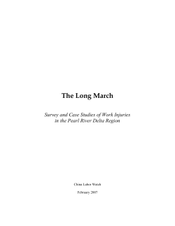 The Long March: Survey and Case Studies of Work Injuries in the