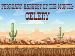 february harvest of the month