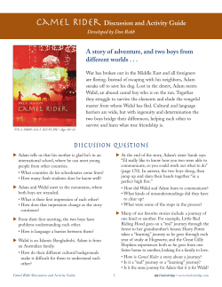 CAMEL RIDER DISC. GUIDE