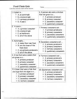 Food Chain Quiz