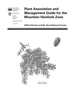 Plant Association and Mountain Hemlock Zone