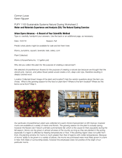 Natural Dye Worksheet 2-2 - The New School Portfolio