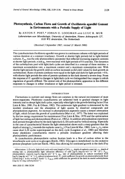Photosynthesis, Carbon Flows and Growth of