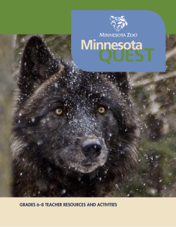 Minnesota Quest