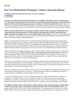 F.Y.I: Five New PD-Resistant Winegrape Varieties Chosen for Release