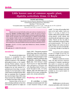 Little known uses of common aquatic plant, Hydrilla verticillata (Linn