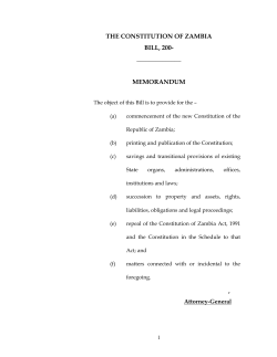 The draft constitution