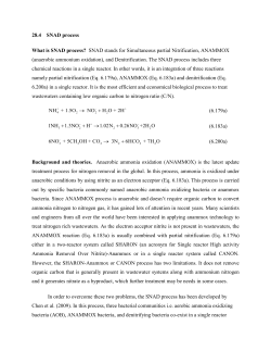 28.4 SNAD process What is SNAD process?