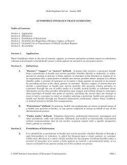 Automobile Insurance Fraud Guidelines