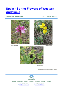 Spain - Spring Flowers of Western Andalucia