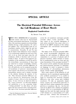 SPECIAL ARTICLE the Cell Membrane of Heart Muscle