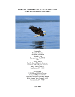 protocol for evaluating bald eagle habitat