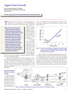 Apple Fruit Growth - Cornell Horticulture