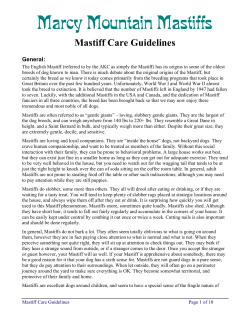 Mastiff Care Guidelines - Marcy Mountain Mastiffs
