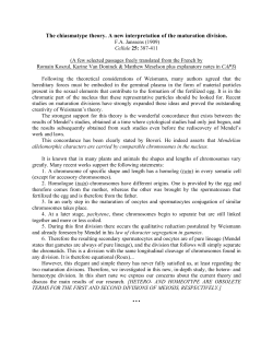 The chiasmatype theory. A new interpretation of the maturation