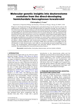 Molecular genetic insights into deuterostome evolution from the
