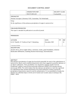 DOCUMENT CONTROL SHEET ancient silver, silver