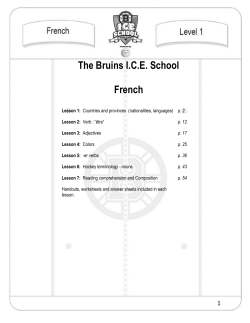 The Bruins ICE School French - Boston Bruins