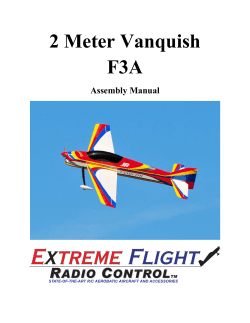2 Meter Vanquish F3A