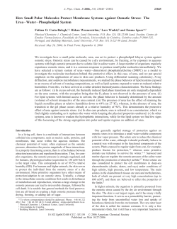 How Small Polar Molecules Protect Membrane Systems against