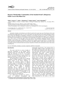 Hypoxic Meiobenthic Communities of the Istanbul Strait`s (Bosporus