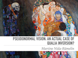 Nida-Rumelin, Psuedonormal Vision