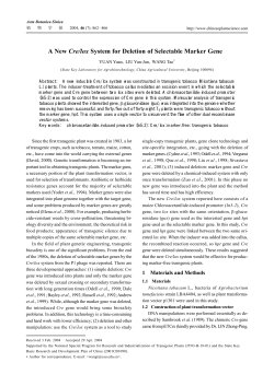 A New Cre/lox System for Deletion of Selectable Marker Gene