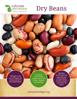 Dry Beans - Cultivate Michigan