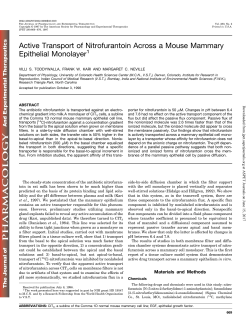 Active Transport of Nitrofurantoin Across a Mouse Mammary