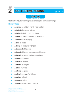 2 coLLecTIVe nouns - Singapore Asia Publishers