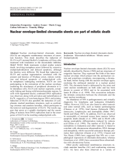 Nuclear envelope-limited chromatin sheets are part of mitotic death