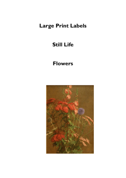 Flowers labels - The Collection Museum