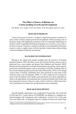 The Effect of Source of Biochar on Cotton Seedling Growth and