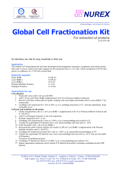 Global Cell Fractionation Kit