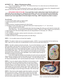 ACTIVITY 1.2: Make a Paramecium pillow