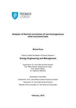 Analysis of thermal conversion of non