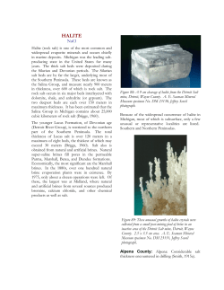 halite - AE Seaman Mineral Museum