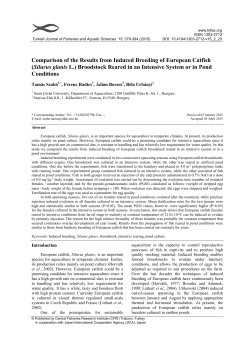 Comparison of the Results from Induced Breeding of European Catfish