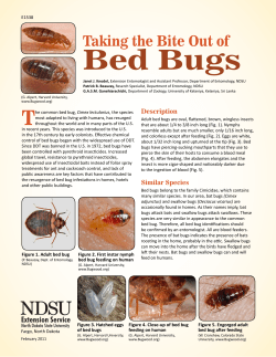 Taking the Bite Out of Bed Bugs
