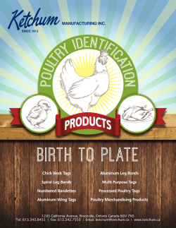 PoultryIdentification - Ketchum Manufacturing Inc.