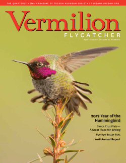 April/May/June - Tucson Audubon Society