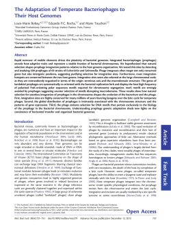 The Adaptation of Temperate Bacteriophages to Their Host Genomes