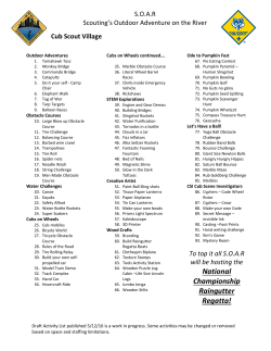 Cub-Scout Village Activities List
