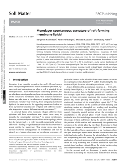 Monolayer spontaneous curvature of raft