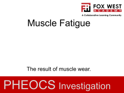Muscle Fatigue PHEOCS Investigation