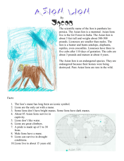 By The scientific name of the lion is panthera leo persica. The Asian